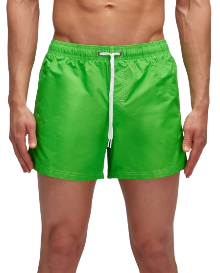 Boxer Mare Arcobaleno
