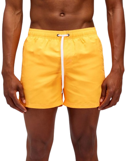 Boxer Mare Arcobaleno