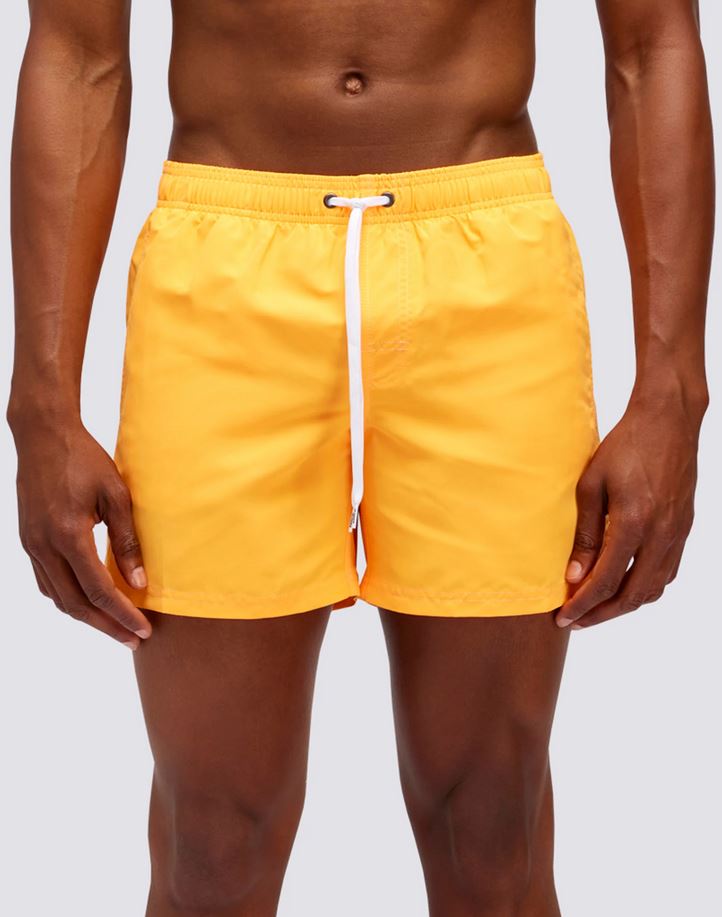 Boxer Mare Arcobaleno