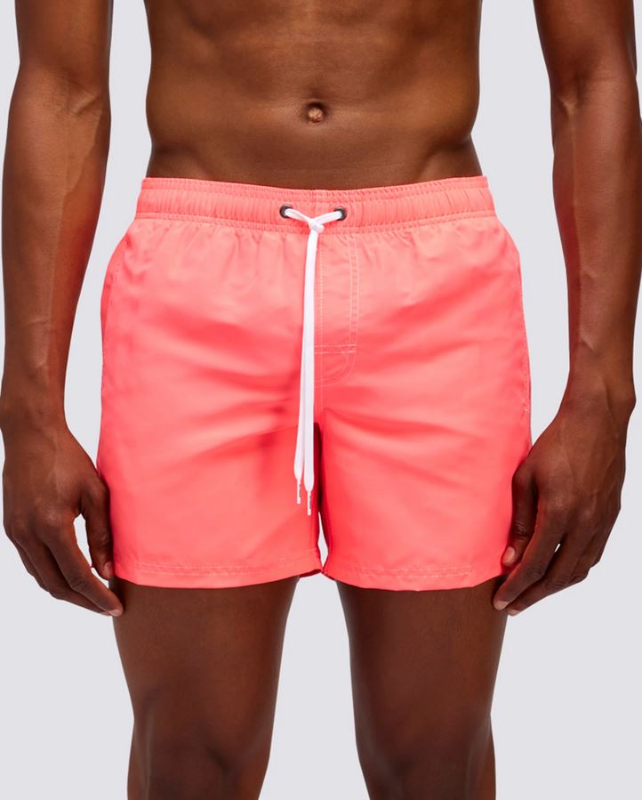 Boxer Mare Arcobaleno
