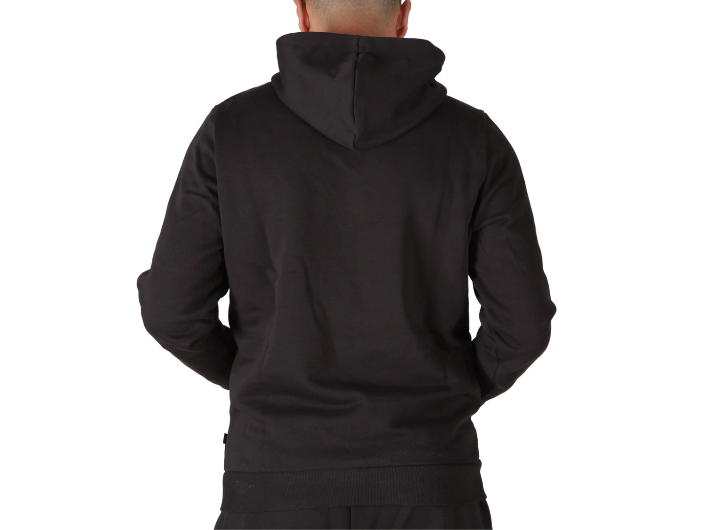 Felpa Ess+ 2 Col Big Logo