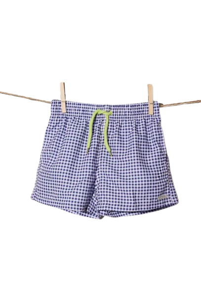 Boxer Mare Quadri