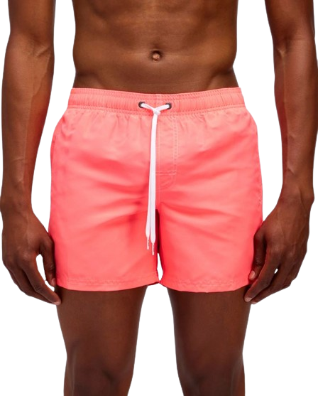 Boxer Mare Arcobaleno