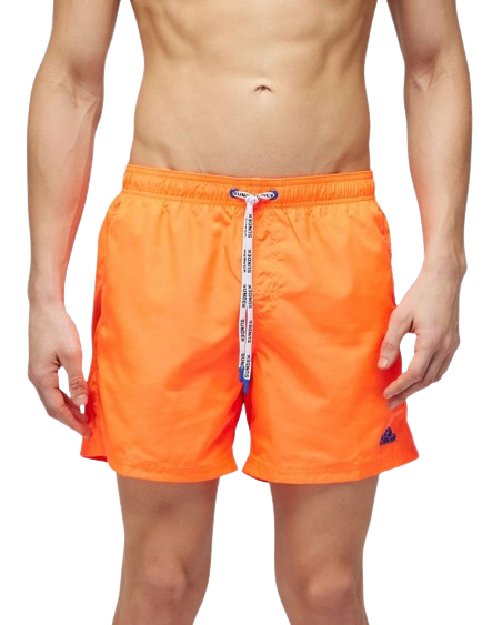 Boxer Mare Mini Logo