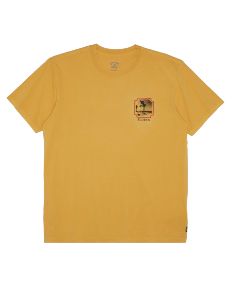 T-Shirt Reflections