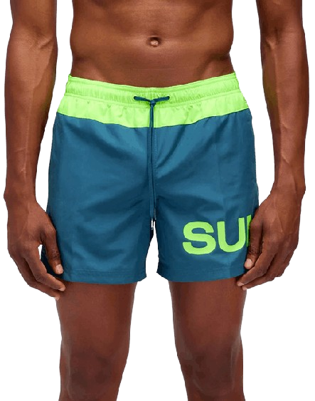 Boxer Mare Bicolore