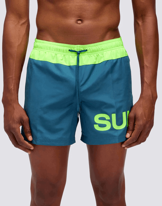 Boxer Mare Bicolore