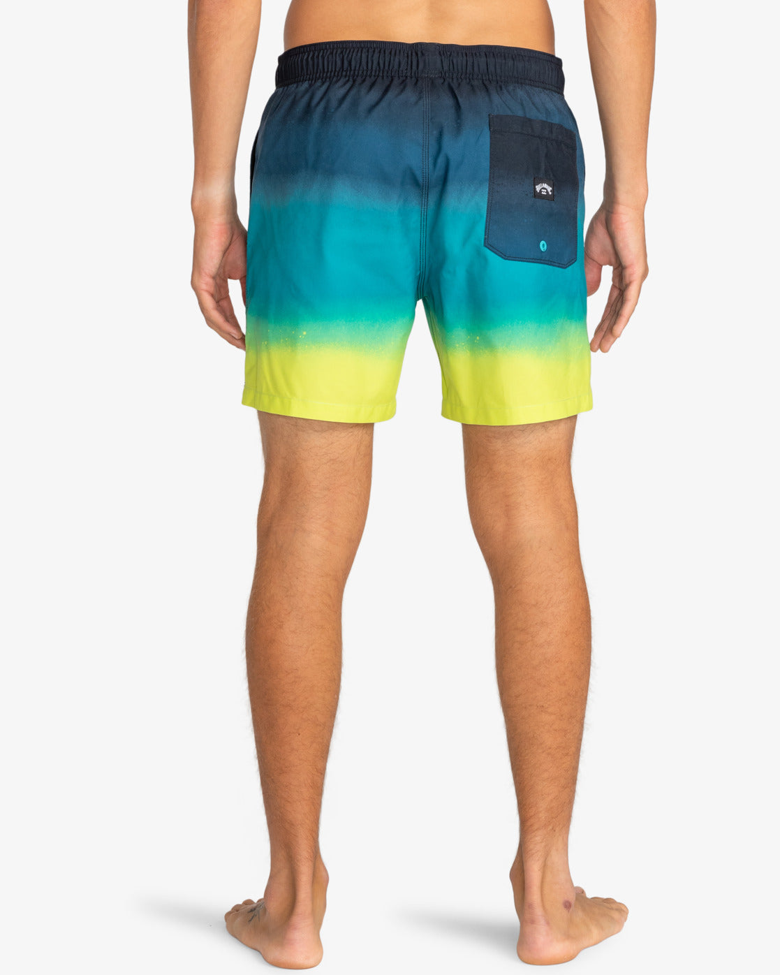 Boxer Mare All Day Fade